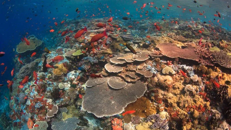 Batu Bolong | Invest Land Komodo