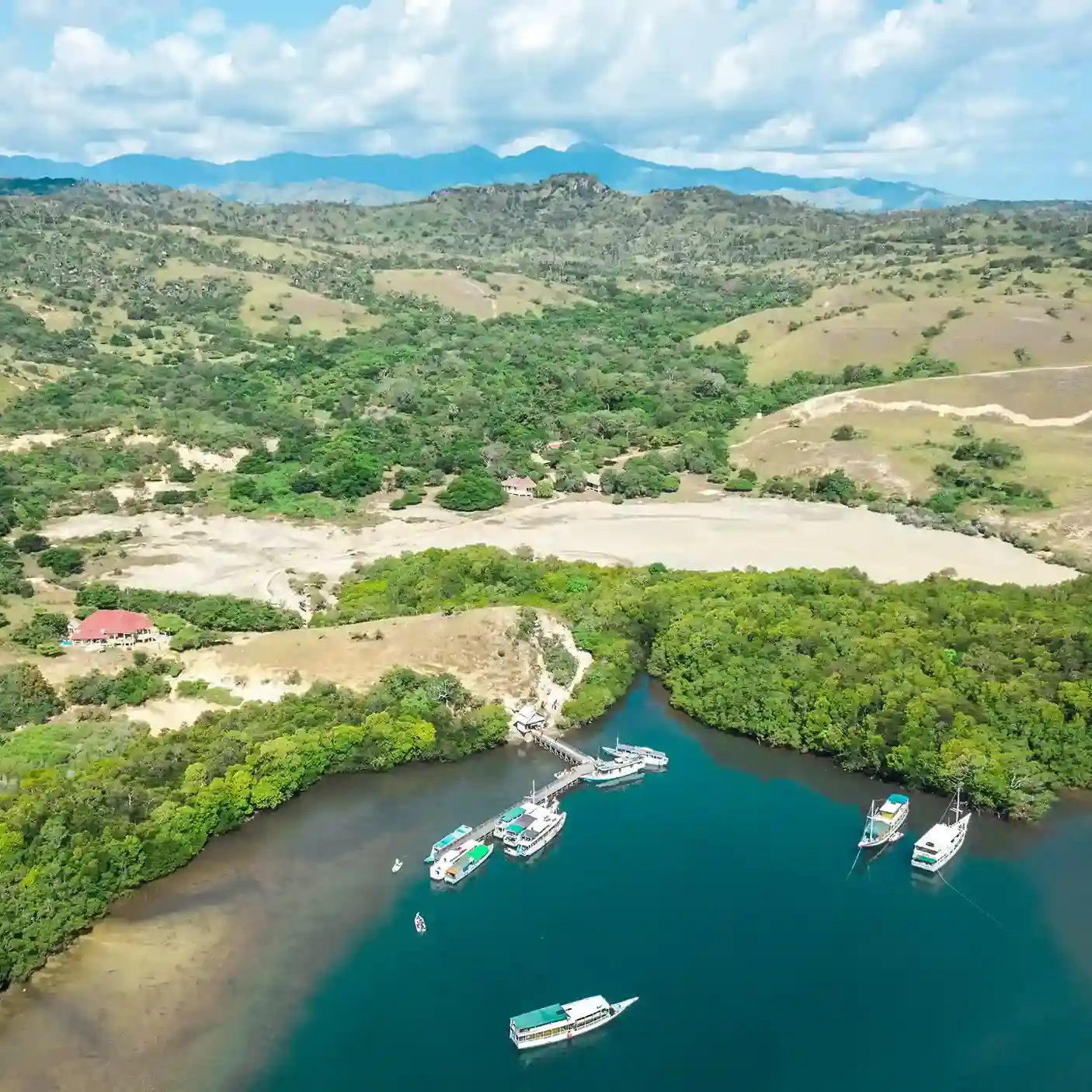 Komodo Island on Rinca Island | Invest Land Komodo